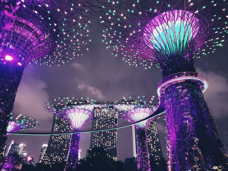 Illuminated Supertree Grove in Singapore at night, showcasing vibrant lights and modern architecture.