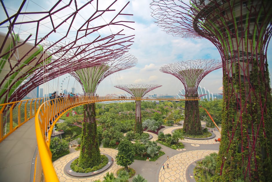 Explore the breathtaking Gardens by the Bay with towering Supertrees and lush greenery in Singapore.